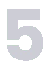 Number 5 to denote reason 5 out of 5 of why to use FortuneFXHub